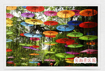 1pcs Chinese art umbrella bamboo frame silk parasol for wedding birthday party bride bridemaid hand-painted flower design