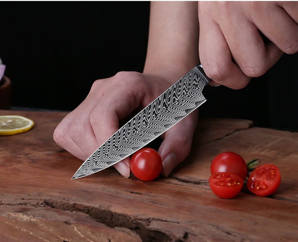 XITUO Luxury Damascus Kitchen Knife Set Japan Chef Santoku Knife Cleaver Paring Bread Knife Featured Resin Synthesis Handle