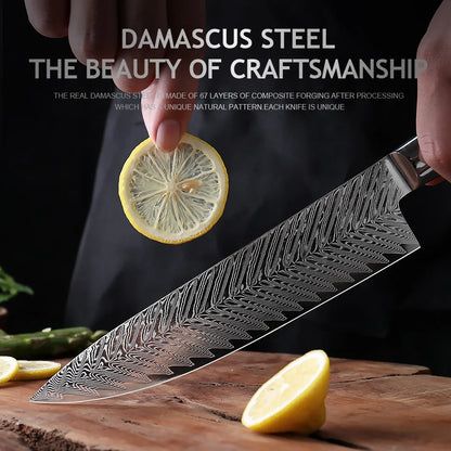 XITUO Luxury Damascus Kitchen Knife Set Japan Chef Santoku Knife Cleaver Paring Bread Knife Featured Resin Synthesis Handle